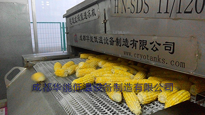 速冻玉米,速冻设备 速冻玉米,速冻设备