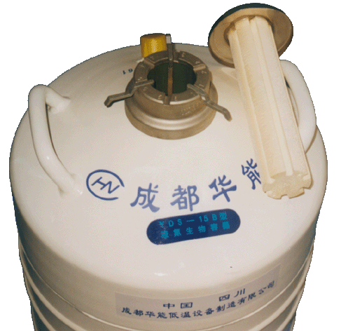 液氮容器,杜瓦瓶,YDS 液氮容器,杜瓦瓶,YDS